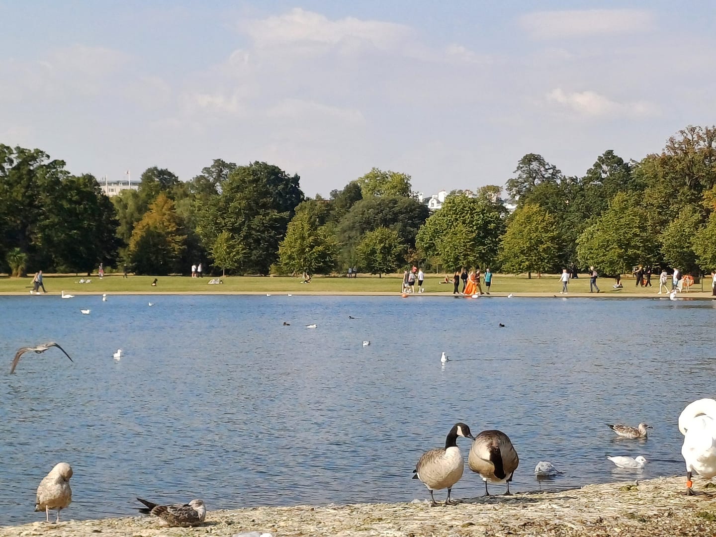 Wellbeing Urban Forest Walk