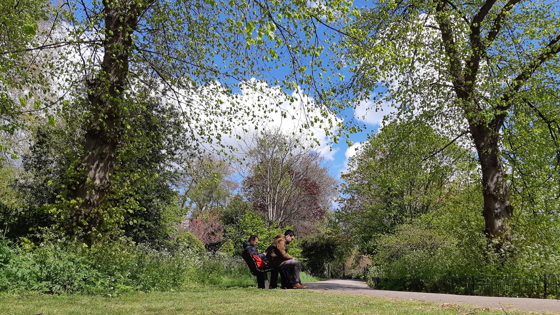 Wellbeing Urban Forest Walk