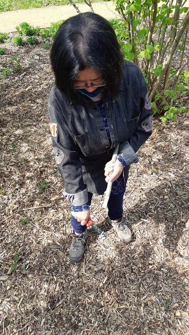 Forest School for over 55’s